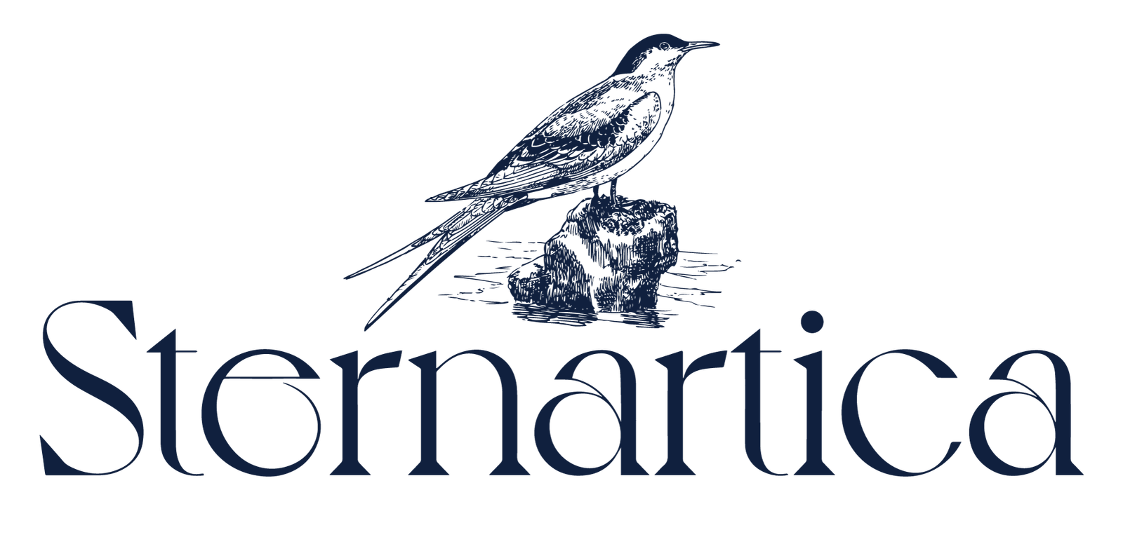 Stenartica-Logotype-2-Blue