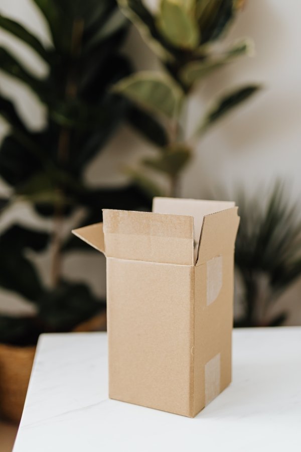 delivery-sternartica delivery-sternartica