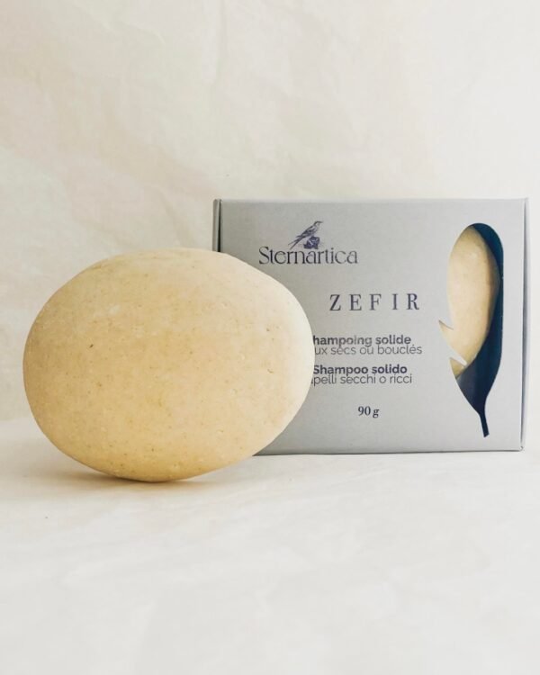 shampoing solide cheveux secs ou bouclés